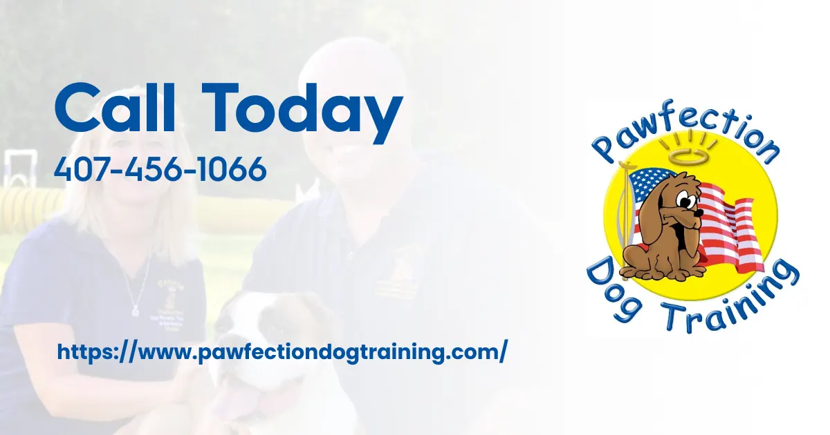 Pawfection dog training