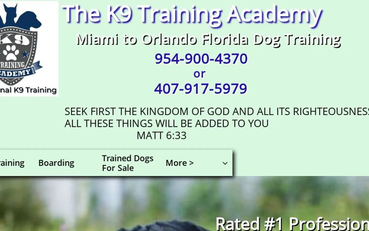 The K9 Training Academy Orlando LLC