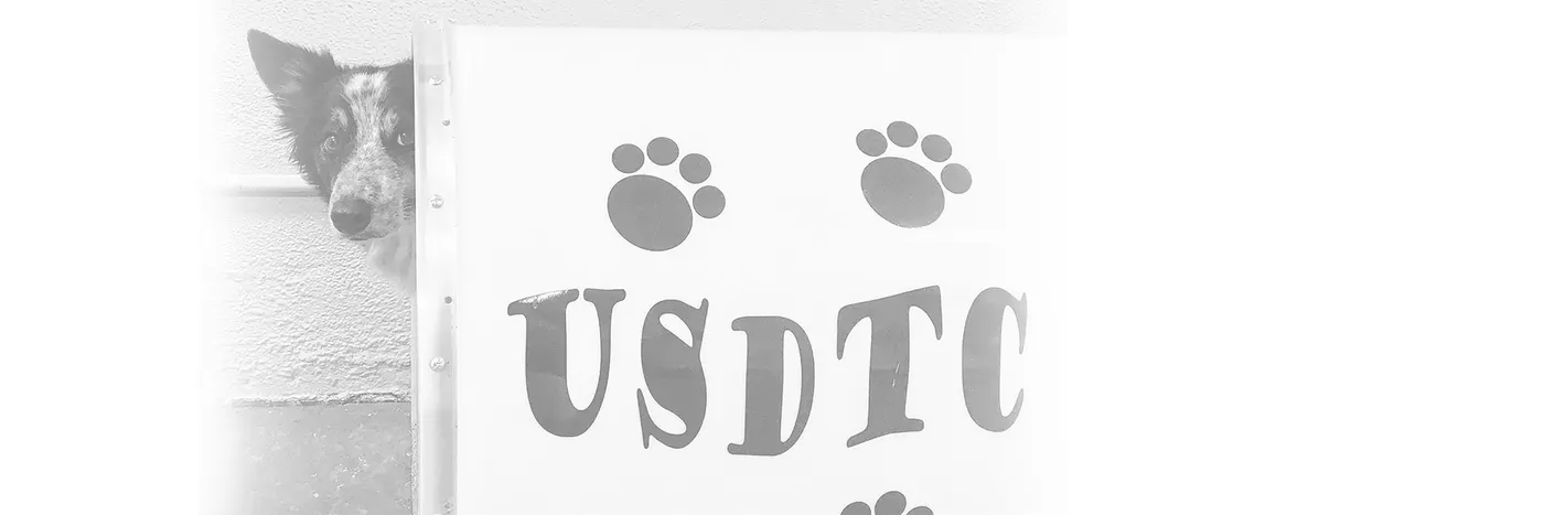 Upper Suncoast Dog Training Club photo