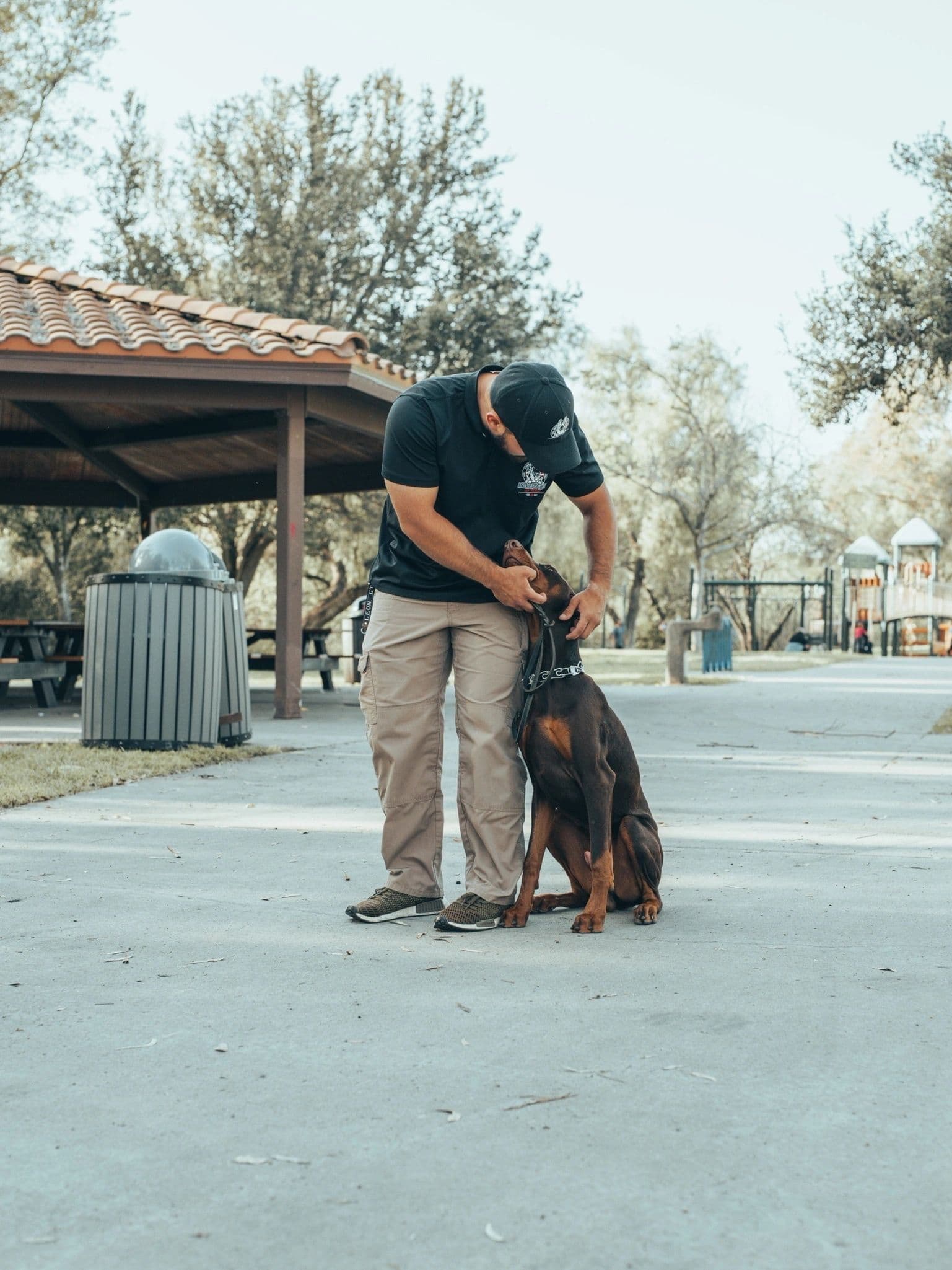 America's Finest Dog Training