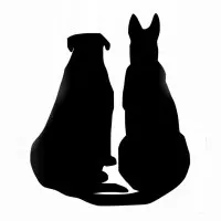 Paradise For Your Pets photo