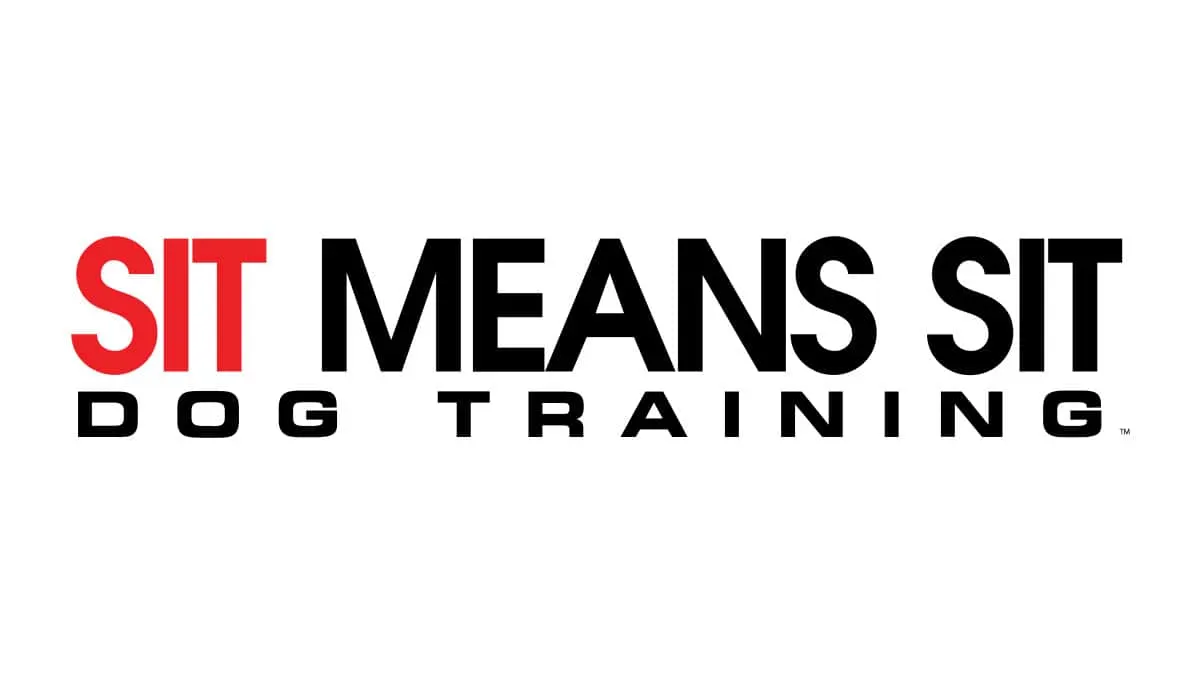 Sit Means Sit Dog Training St. Petersburg
