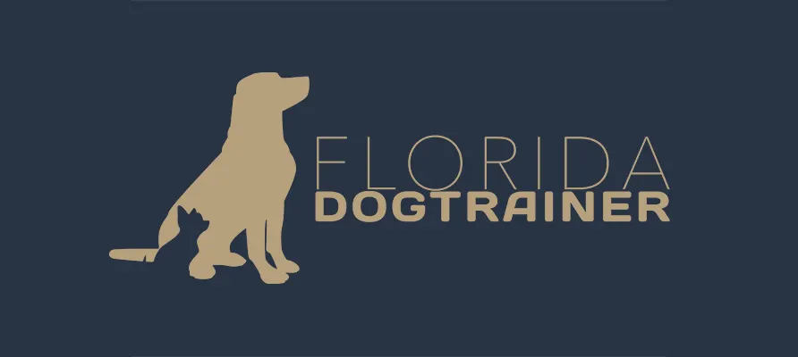 Florida Dog Trainer photo