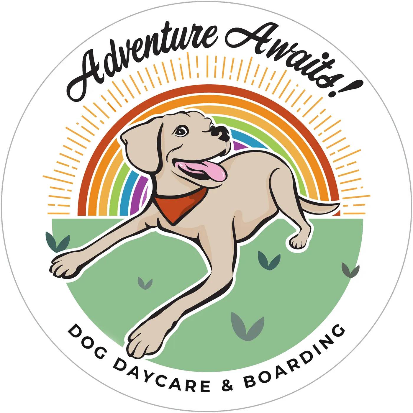 Adventure Awaits Dog Daycare photo