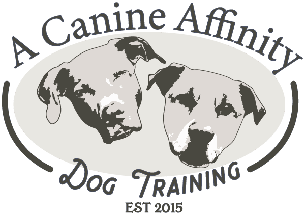 A Canine Affinity photo