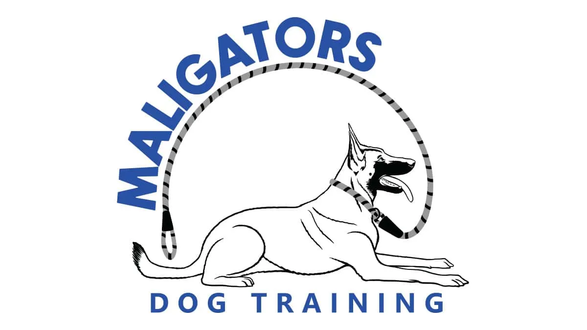 Maligators Dog Training