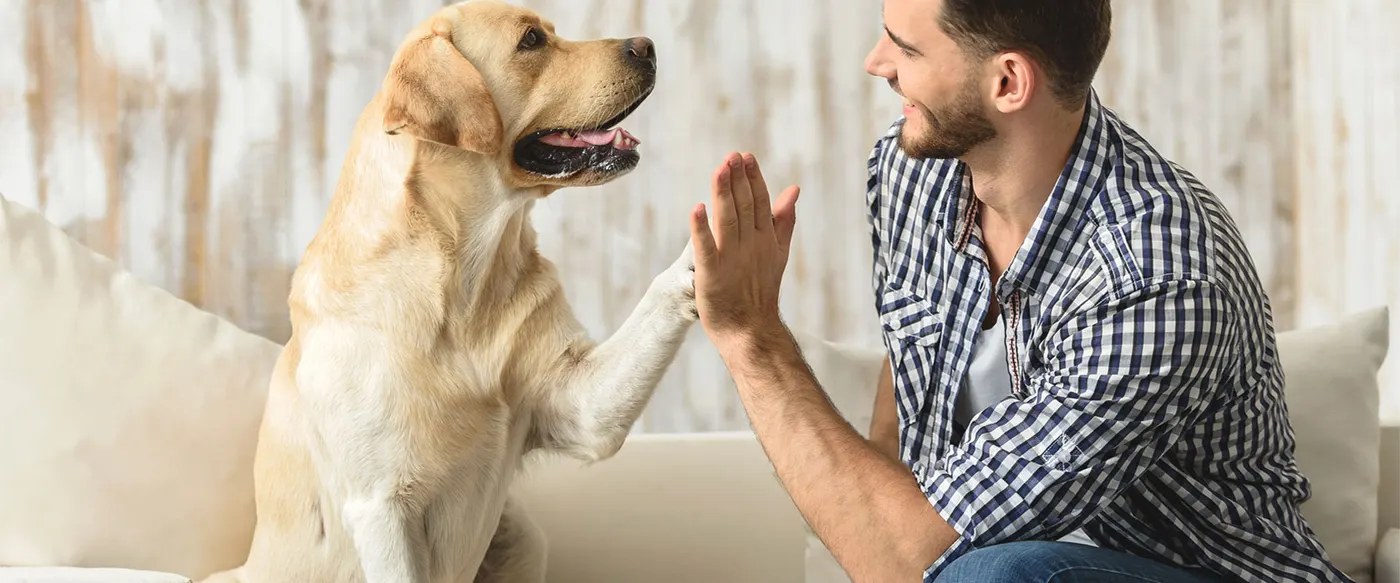 Canine Magic photo