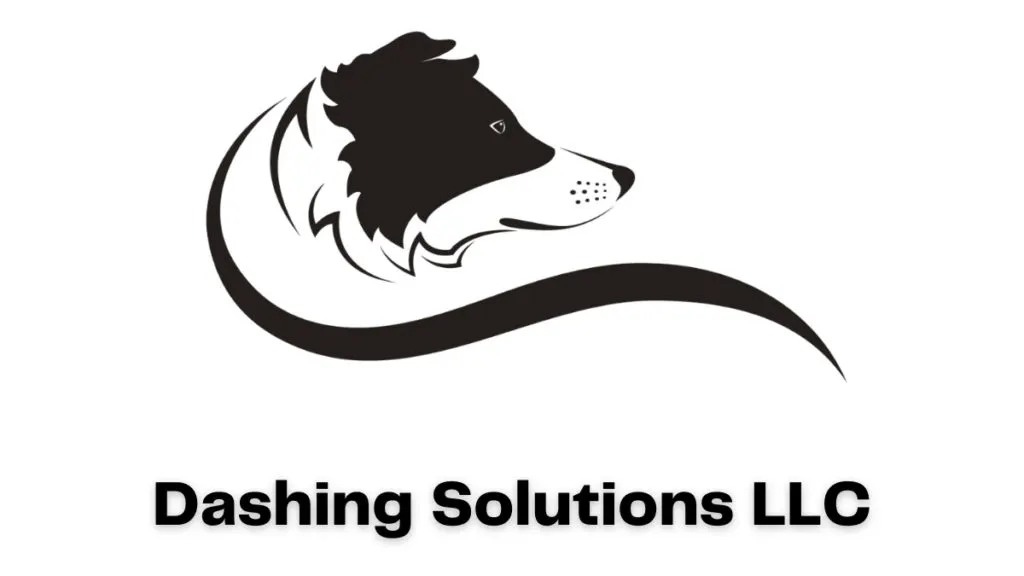 Dashing Solutions photo