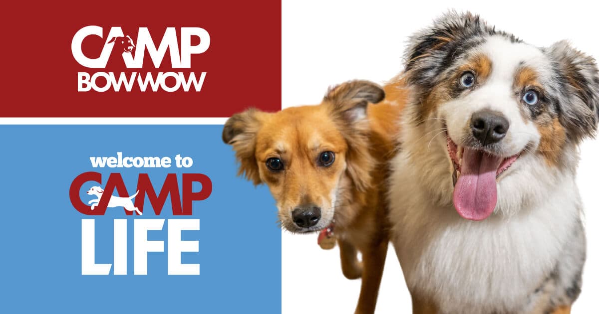 Camp Bow Wow Fort Worth East