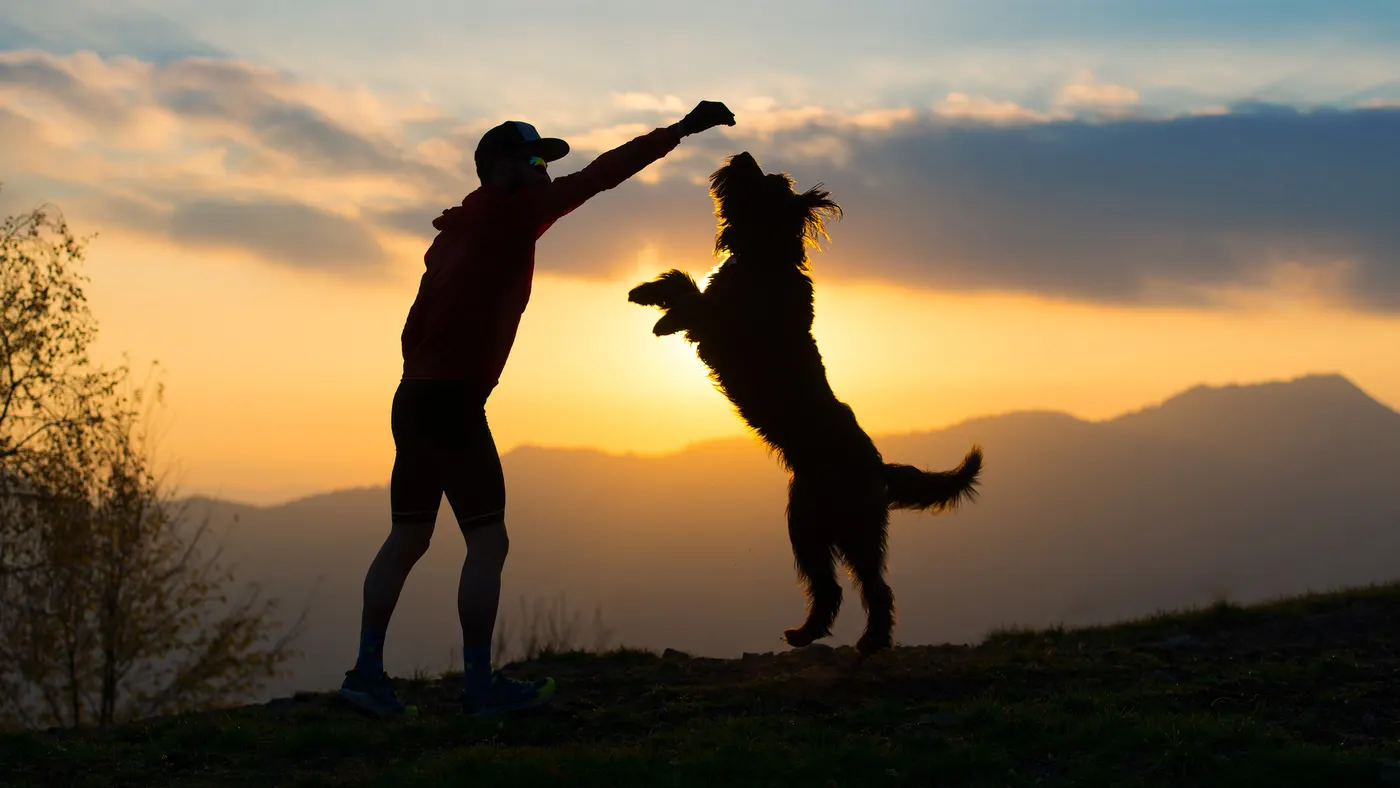 Oliver & Co. Dog Training