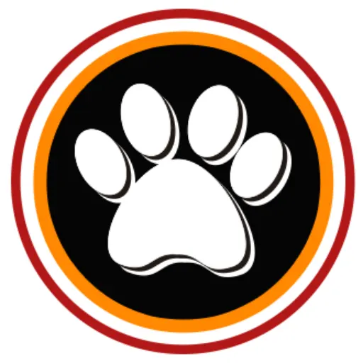 Revolution Dog Training photo