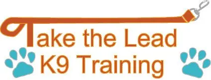 Take the Lead K9 Training photo