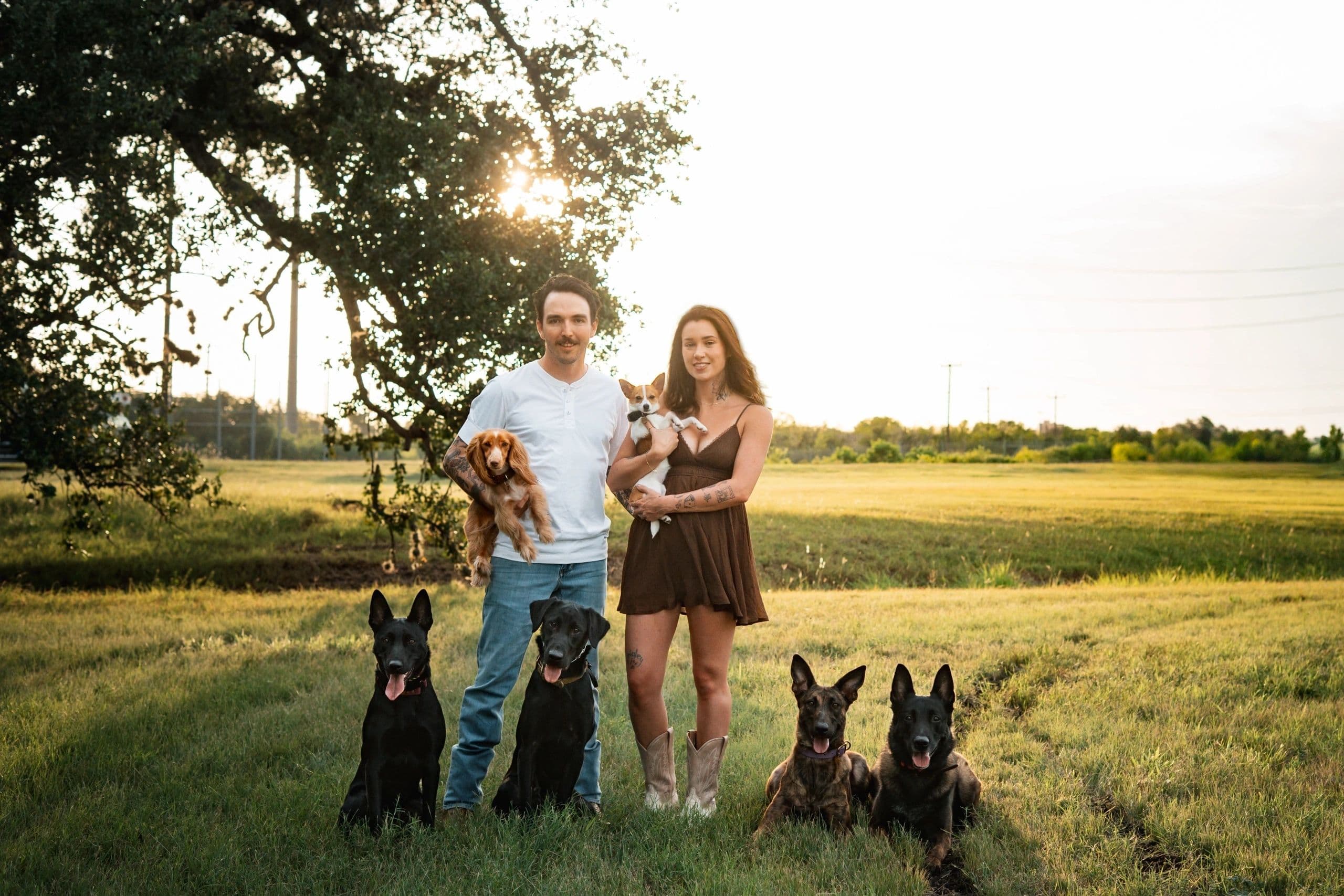 Ignition Canine Training