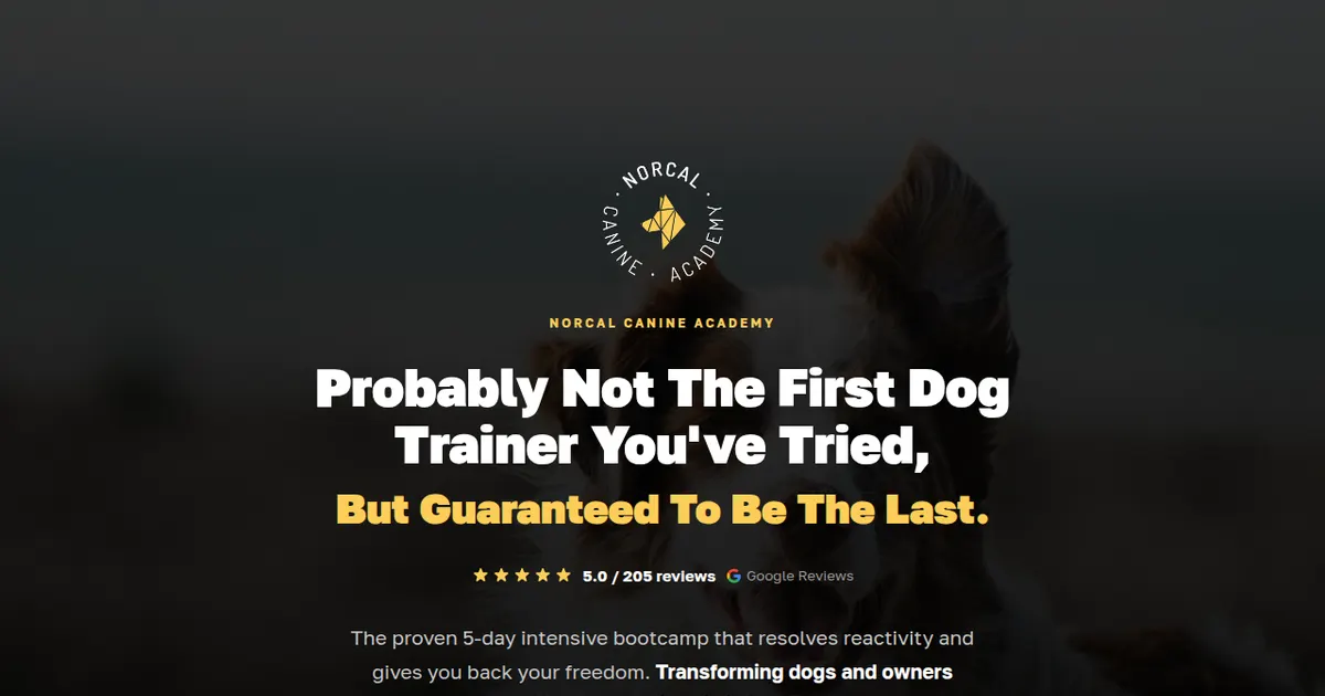 NorCal Canine Academy photo