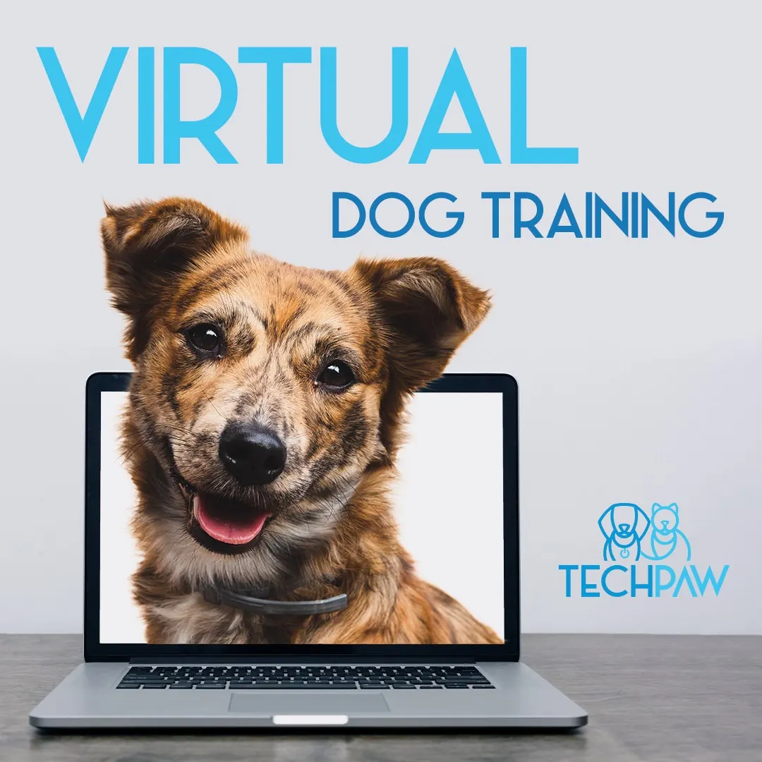 Techpawlogy photo
