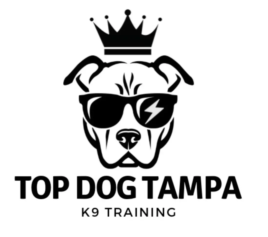 Top Dog Tampa photo