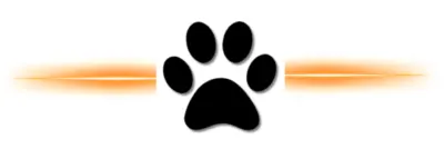 Total Dog Tampa
