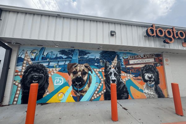 Dogtopia of Houston - Waugh Dr.