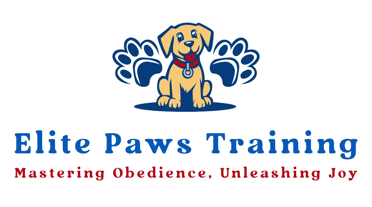 Elite Paws Training photo