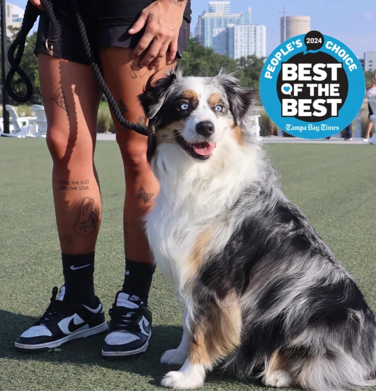 Kyser K9 Dog Training