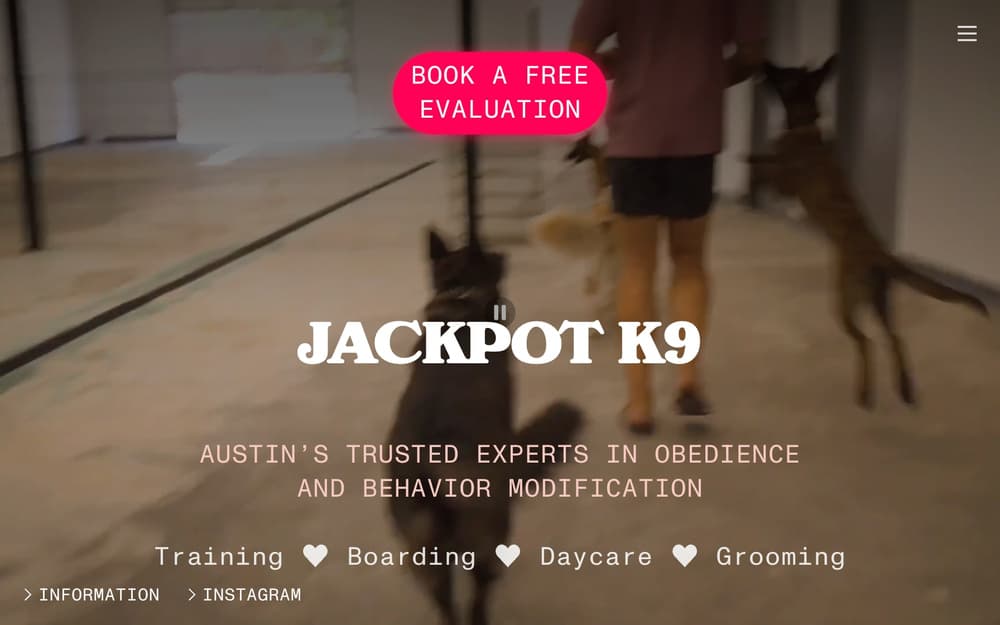 Jackpot k9