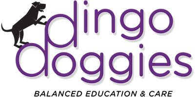 Dingo Doggies Campus
