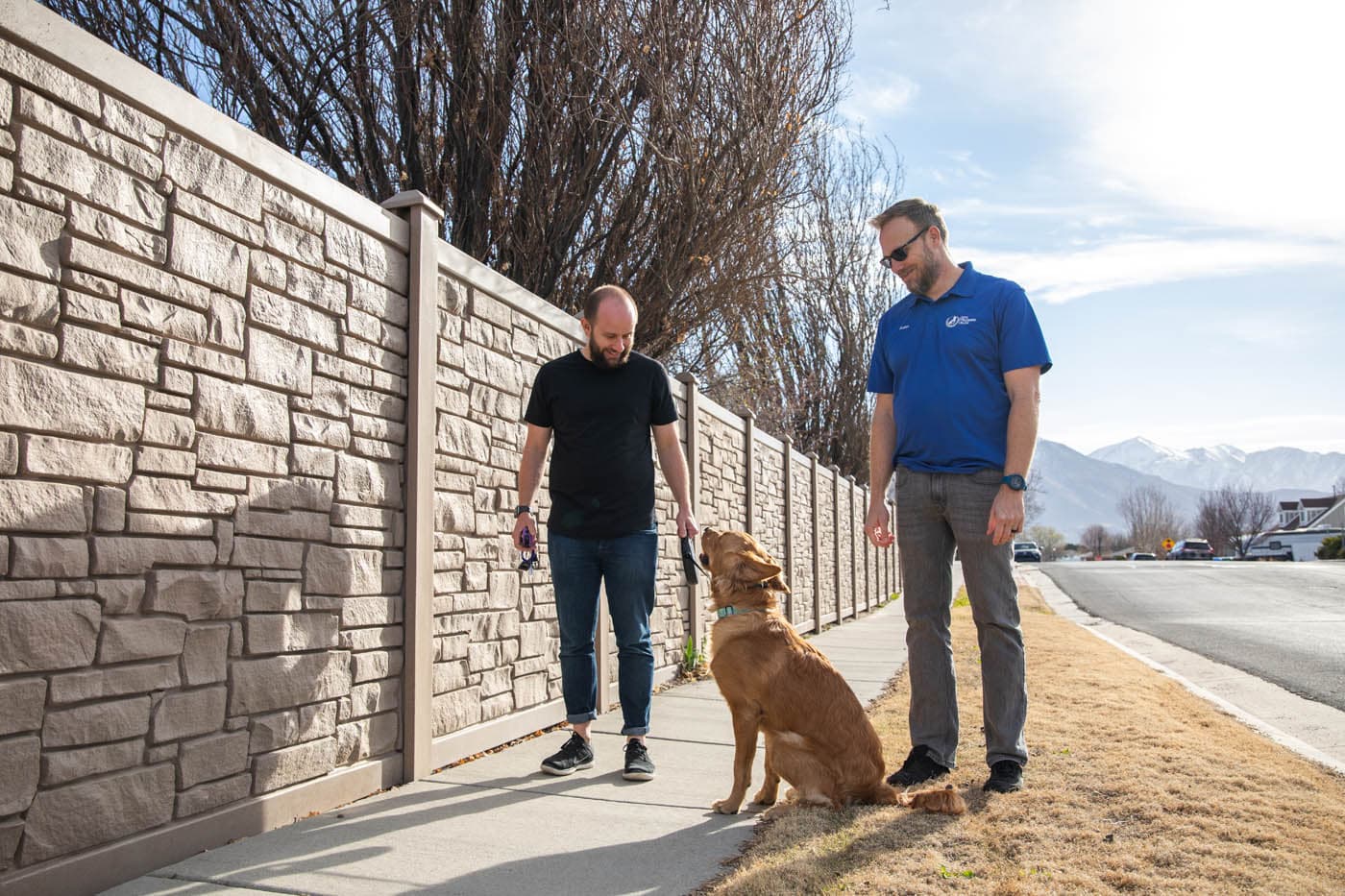 Dog Training Elite of South Houston