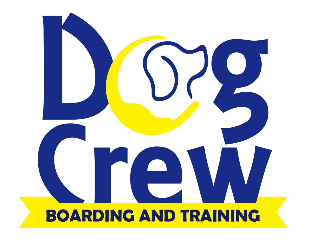 Dog Crew | Dog Training