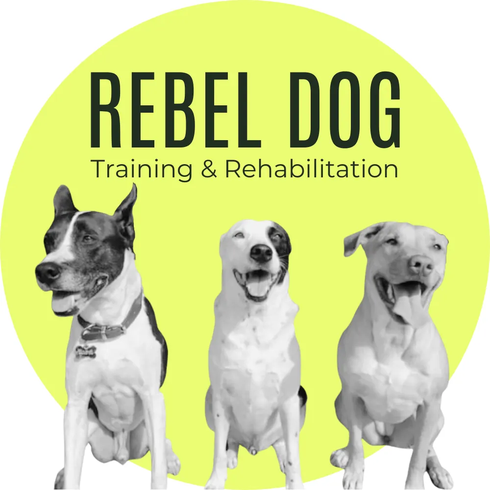 Rebel Dog Training