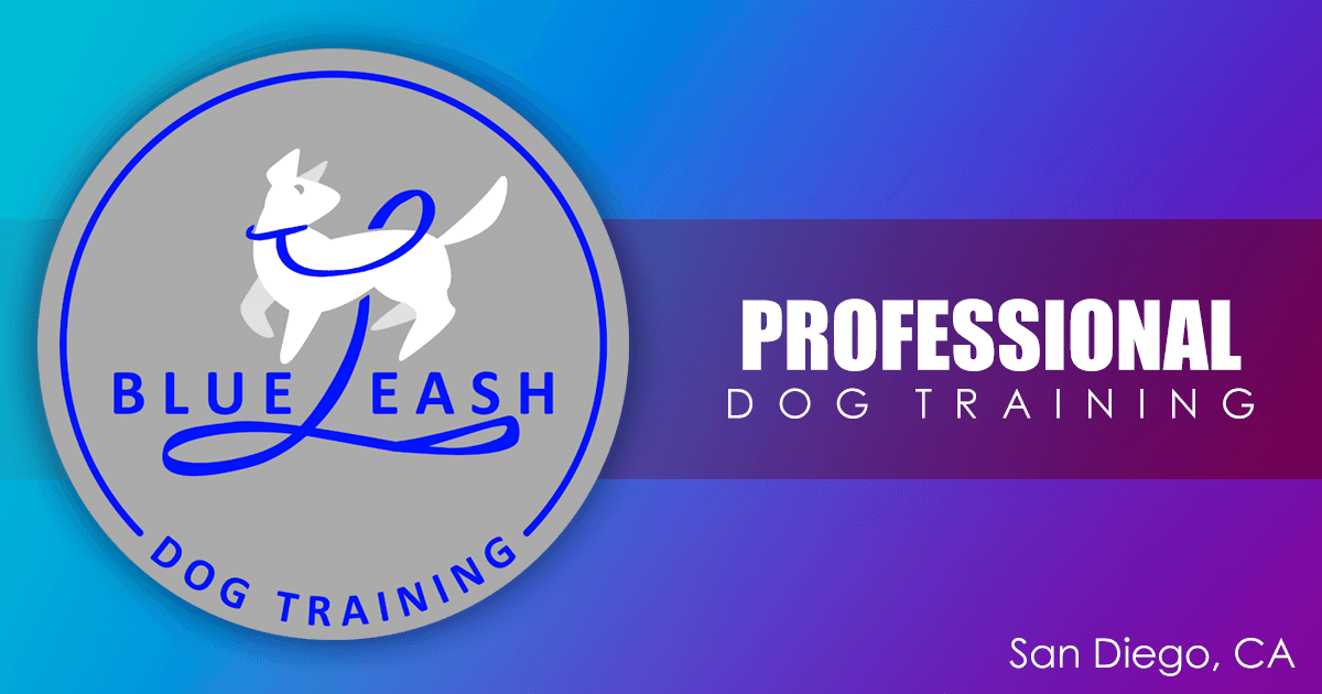 Blue Leash Dog Training