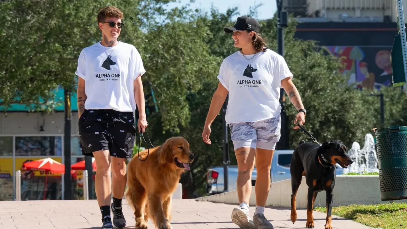 Alpha One Dog Training