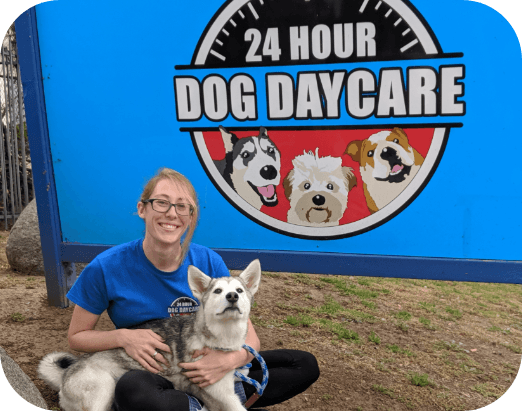 24 Hour Dog Daycare