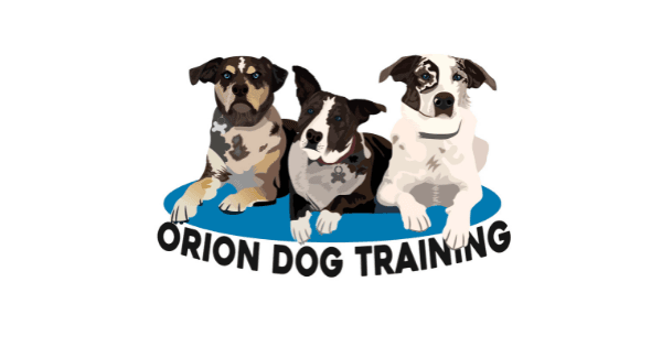 Orion Dog Training photo