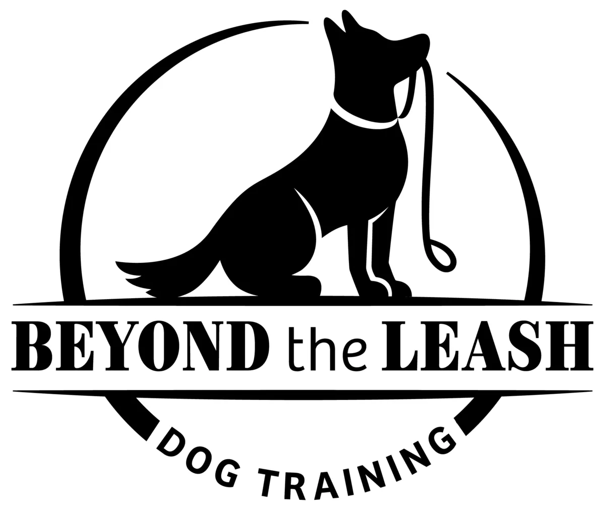 Beyond the Leash Dog Training