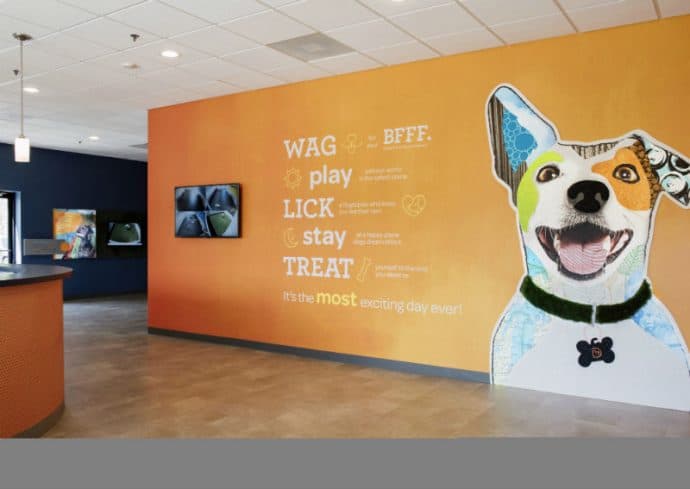 Dogtopia of Houston - Vintage Park